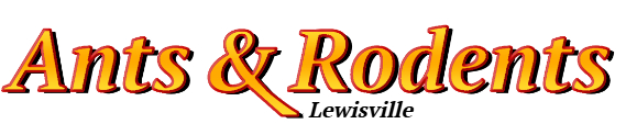 Lewisville Ant Exterminator & Rodent Control Company Logo